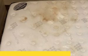 Read more about the article 飽受皮膚、呼吸道過敏困擾？或許你該試試，床墊清洗，有效去除過敏原